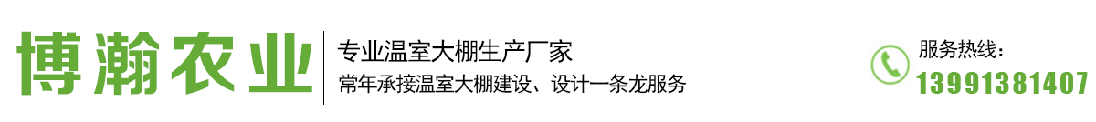 银川温室大棚-日光大棚造价-蔬菜温室建设厂家选博瀚农业公司