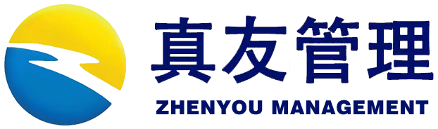 真友项目管理