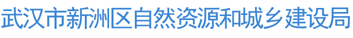 武汉市新洲区国土资源和规划局