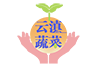 意大利生菜_黄白_上海青_嵩明县裕隆蔬菜种植园